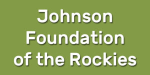 Johnson-Foundation-300x150